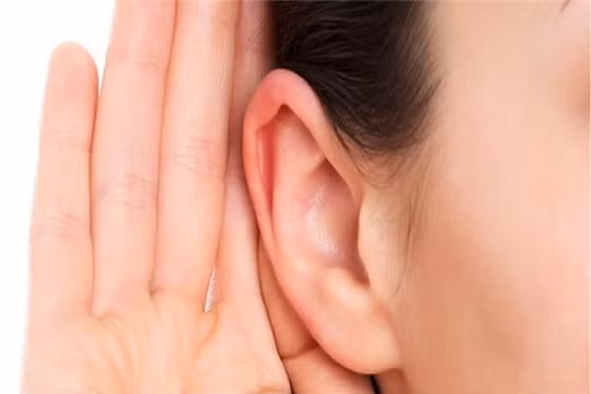 Tính cách, vận mệnh của người tướng tai dơi