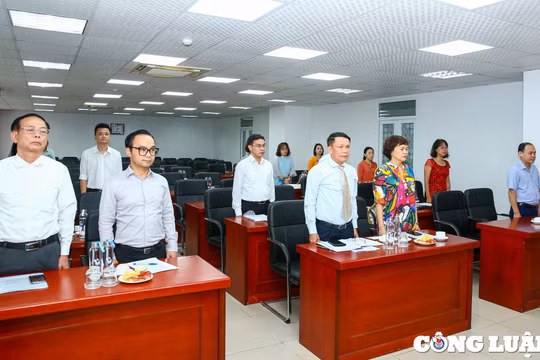 Chi bộ Các Ban chuyên môn tiếp tục đoàn kết, chủ động, sáng tạo, phát huy dân chủ
