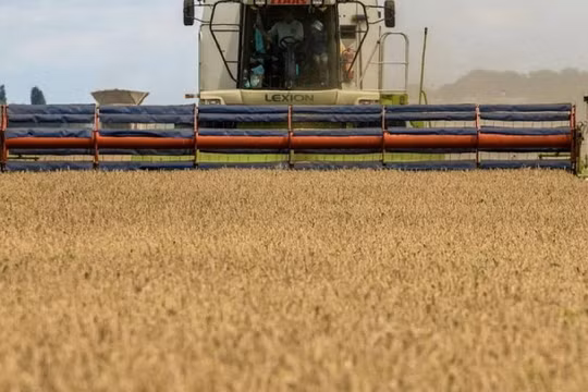 Liên Hợp Quốc thuyết phục Nga trở lại thỏa thuận ngũ cốc