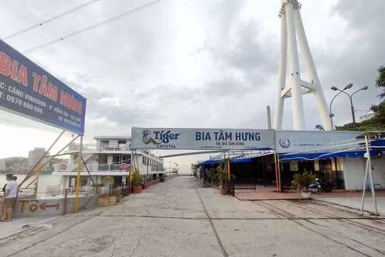 Quảng Ninh: Xử phạt nhiều đơn vị thuê đất trái phép tại Cảng Vinashin