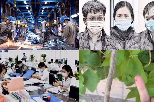 Nóng 18h: Bắt cựu giám đốc công ty sách nâng khống giá thiết bị giáo dục hàng tỉ đồng