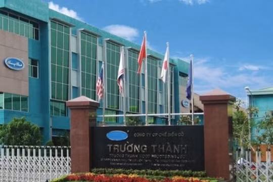 Gỗ Trường Thành (TTF) Quý 3 ghi nhận lãi mỏng, nhưng lỗ lũy kế đã lên tới 3.039 tỷ đồng