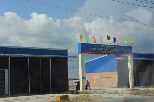 Đưa phương tiện của nước ngoài vào địa điểm tự phát để bốc xếp hàng hóa là vi phạm pháp luật