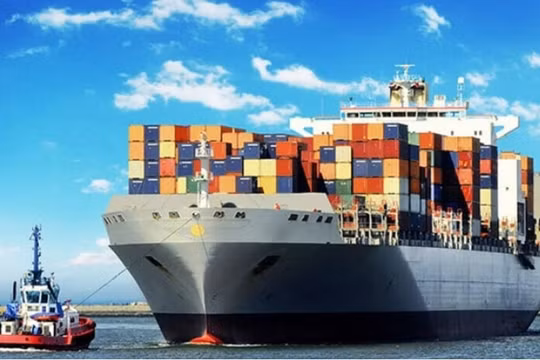 Cung ứng và Dịch vụ Kỹ thuật Hàng Hải (MAC) lợi nhuận lao dốc 3 năm liên tiếp, lỗ 4,4 tỷ nửa đầu 2022