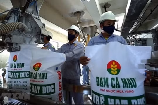Đạm Cà Mau (DCM) ước doanh thu 6 tháng tăng 91%