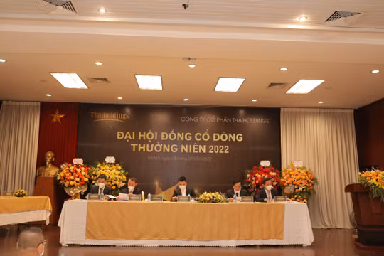 Thaiholdings lên kế hoạch lợi nhuận 1.503 tỷ đồng