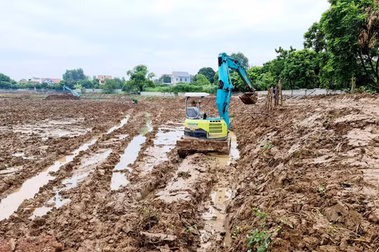 Phó Chủ tịch tỉnh Hải Dương chỉ đạo làm rõ tố cáo sai phạm tại xã Hồng Phong
