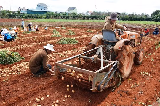 Công nghiệp hỗ trợ ngành nông nghiệp: Không nên chờ đợi vào máy móc nhập khẩu