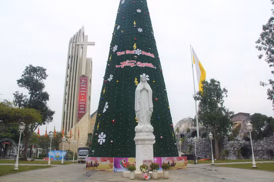 Ngắm cây thông Noel “khủng” ở xứ Nghệ