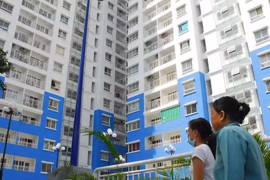 Khi lạc nghiệp mà chẳng thể… an cư