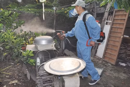 Hà Nội: Yêu cầu xử lý triệt để các ổ dịch truyền nhiễm mùa hè