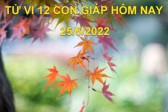 Tử vi 25/5/2022 hôm nay thứ 4 ngày 25/4 âm lịch của 12 con giáp