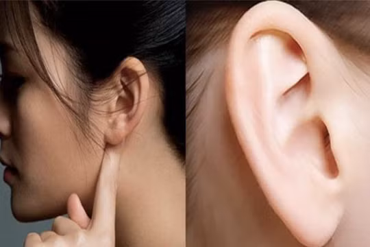 Những tướng tai đẹp giàu sang, phú quý