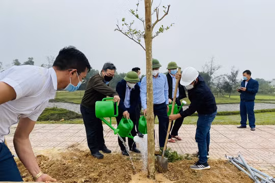 Mát mắt “sắc xanh” ở nhà máy thép lớn nhất Hà Tĩnh