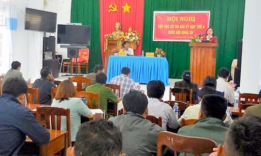 Cử tri Bình Định kiến nghị giải quyết khó khăn “đầu ra” sản phẩm nông, lâm nghiệp