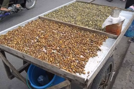 Hến phơi nắng- loại đặc sản được nhiều người ưa chuộng