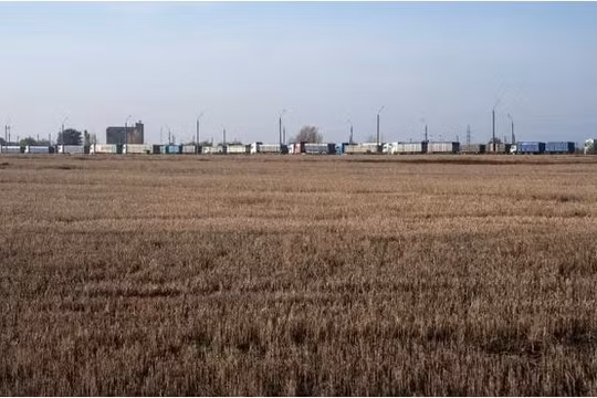 Ukraine sẽ đưa lương thực đến các nước nghèo nhất châu Phi