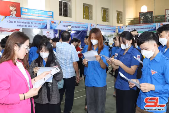 Sơn La tổ chức "Ngày hội việc làm dành cho thanh niên dân tộc thiểu số năm 2022"