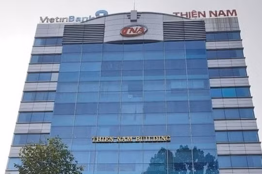 Xuất nhập khẩu Thiên Nam (TNA) một cá nhân dùng 47 tài khoản thao túng giá cổ phiếu, bị phạt nửa tỷ đồng