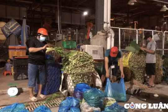 TP HCM: Hàng ngàn tấn hàng Tết đổ về chợ sỉ, siêu thị