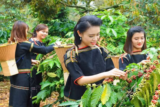 Nhiều đoàn quốc tế tham gia biểu diễn tại Lễ hội Cà phê Buôn Ma Thuột