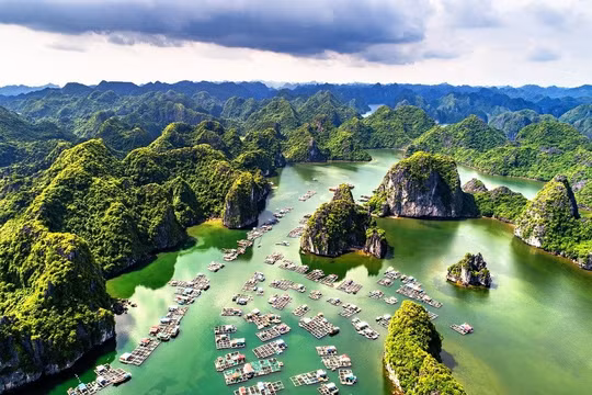 Vịnh Lan Hạ và Đà Lạt: Điểm đến đáng giá dành cho tín đồ yêu thích khám phá