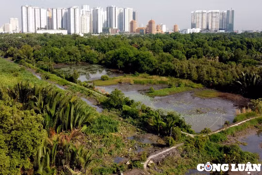 Gần 30 năm, dự án Khu liên hợp thể thao Rạch Chiếc 200ha chủ yếu nuôi cá, trồng sen
