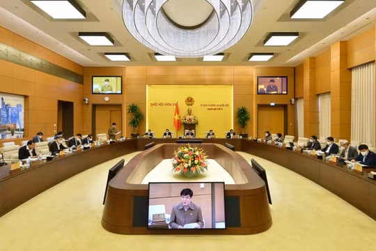 Tăng cường giám sát việc giải quyết tình trạng ùn ứ hàng hóa tại khu vực cửa khẩu