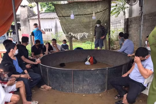 Bắt giữ 17 đối tượng đá gà ăn tiền tại Nghệ An