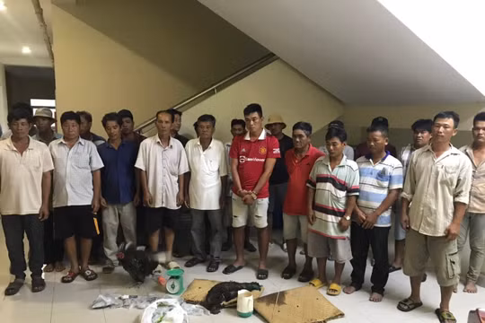 TP. HCM: Đột nhập sới đá gà, thu giữ hàng trăm triệu đồng