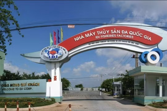Đầu tư và Phát triển Đa Quốc gia (IDI) lợi nhuận giảm 4,5 lần, chi 341 tỷ đồng thanh toán cổ tức 2021