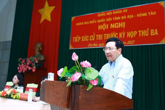 Các dự án chuyển đổi mục đích sử dụng rừng tại Côn Đảo phải xem xét hết sức chặt chẽ