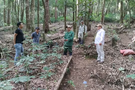 Có gì tại phiên chợ sâm Ngọc Linh đầu tiên ở Kon Tum?