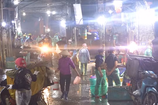 Chợ cá Yên Sở nhộn nhịp trước ngày ông Công ông Táo