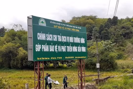 Yên Bái kỷ luật cảnh cáo 6 cán bộ, đảng viên vi phạm chi trả dịch vụ môi trường rừng