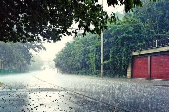 Dự báo thời tiết (31/7): Tây Nguyên, Nam Trung bộ và Nam Bộ mưa lớn