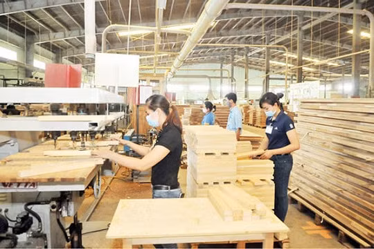 Mỹ khởi xướng điều tra tủ gỗ nhập từ Việt Nam