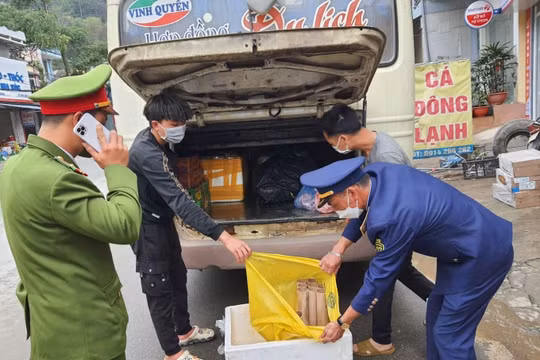 Bắt giữ vụ vận chuyển pháo tại Hà Giang