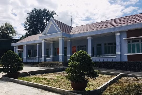 Kon Tum: Để “lâm tặc” cưa hạ gần 70m3 gỗ, 2 nhân viên bảo vệ rừng bị bắt tạm giam