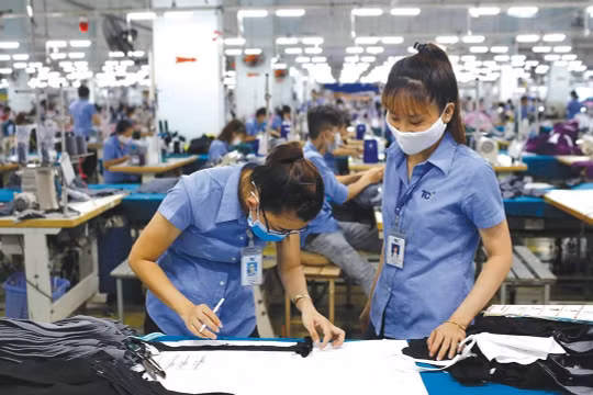 Dệt may Thành Công (TCM) chi phí tăng nhanh, vay nợ dài hạn tăng 73 tỷ đồng trong 9 tháng