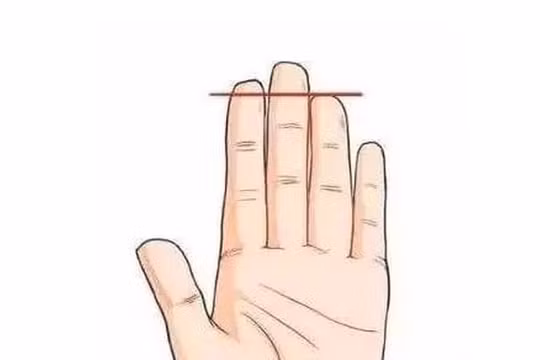 So sánh ngón tay trỏ và ngón đeo nhẫn đoán vận mệnh tương lai