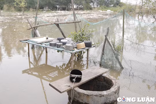 Thanh Hóa: Thực hiện các biện pháp gia cố phù hợp để hạn chế sự phát triển của sạt lở, xâm thực