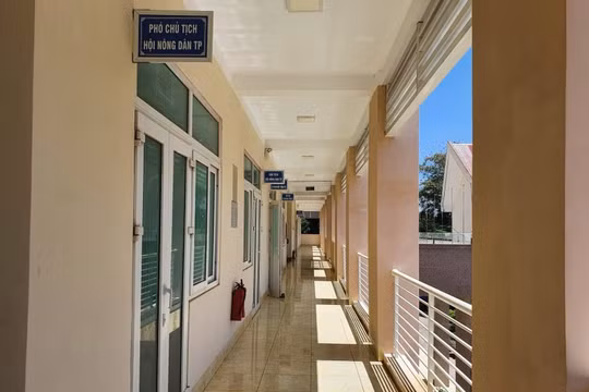 Cách chức Phó Chủ tịch Hội Nông dân TP Buôn Ma Thuột "tham ô" tiền hỗ trợ nông dân
