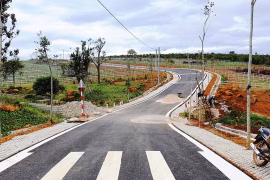 Hàng loạt lãnh đạo, nguyên lãnh đạo một số huyện, thành phố tại Lâm Đồng bị đề nghị kỷ luật