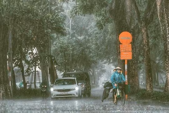 Dự báo thời tiết 5/12: Trung Bộ mưa to có nguy cơ gây sạt lở đất