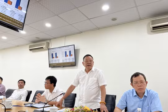 Khách đến sân bay Tân Sơn Nhất dịp Tết Nguyên đán 2023 dự báo tăng kỷ lục