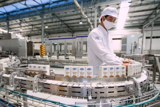 Vinamilk dự chi 2.900 tỷ đồng tạm ứng cổ tức đợt 2 của năm 2022