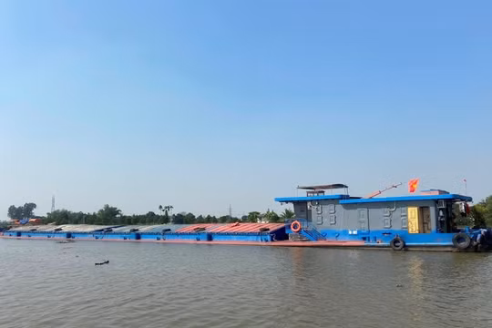 Hải Phòng: Phát hiện tàu vận chuyển 1.600 tấn than xít vi phạm quy định