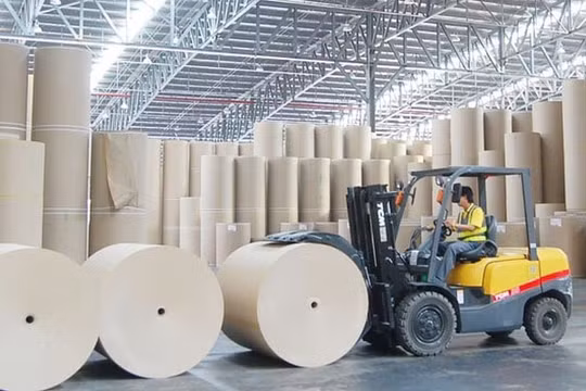 Đông Hải Bến Tre (DHC) giá cổ phiếu lao dốc, lãnh đạo chỉ dám mua 9% lượng đã đăng ký