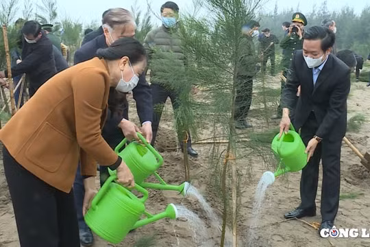 Ninh Bình: Phát động Tết trồng cây đời đời nhớ ơn Bác Hồ